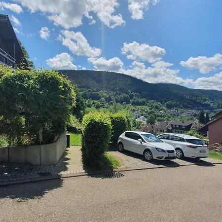 Perfekt Fuer Geschaeftsreisende Komfort Eleganz Und Erstklassiges Wlan In Zentraler Lage Wuppertal Buitenkant foto